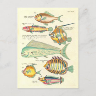 Illustratie van Kleurrijke Vis Briefkaart