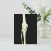 Illustratie van knie bot, recht briefkaart (Staand voorkant)