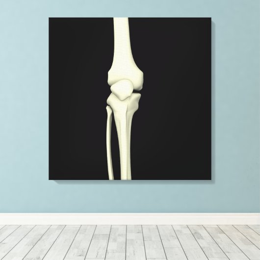 Illustratie van knie bot, recht canvas afdruk (Insitu (Houten vloer))