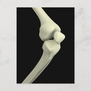 Illustratie van kniebocht, buiging briefkaart