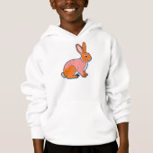 Illustratie van knuffelkonijn (Voorkant)