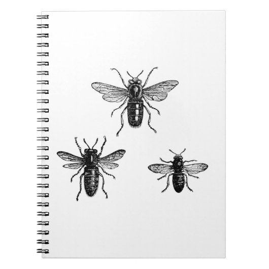 Illustratie van  koninginnen en bijen notitieboek (Voorkant)