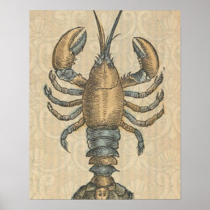 Illustratie van kreeft Antieke Maine Zeevruchten Poster