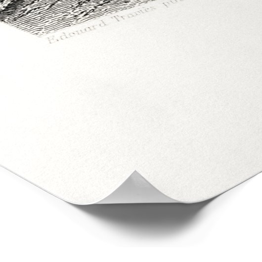  illustratie van leeuw poster (Hoek)