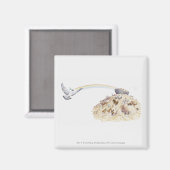 Illustratie van Noah's ark met dieren die vertrekk Magneet (Voorkant / Achterkant)