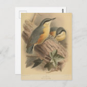  illustratie van Nuthatch Briefkaart (Voorkant / Achterkant)
