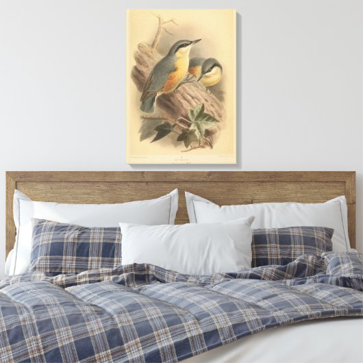  illustratie van Nuthatch Canvas Afdruk (Insitu (Slaapkamer))