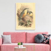  illustratie van Nuthatch Canvas Afdruk (Insitu (Woonkamer))