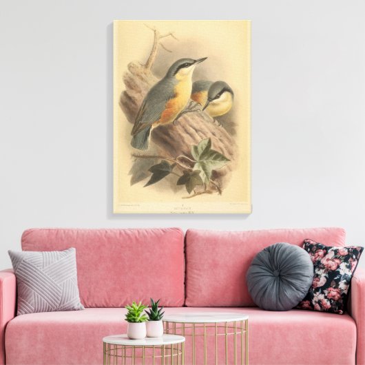 illustratie van Nuthatch Canvas Afdruk (Insitu (Woonkamer))