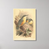  illustratie van Nuthatch Canvas Afdruk (Voorkant)