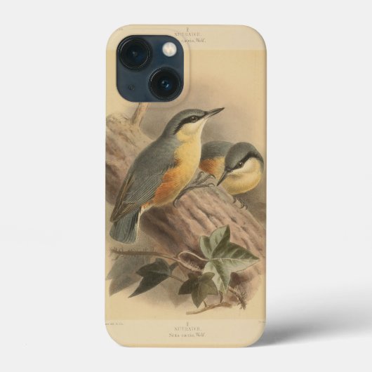 illustratie van Nuthatch Case-Mate iPhone Case (Achterkant)