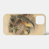 illustratie van Nuthatch Case-Mate iPhone Case (Achterkant (horizontaal))
