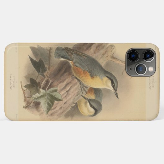 illustratie van Nuthatch Case-Mate iPhone Case (Achterkant (horizontaal))