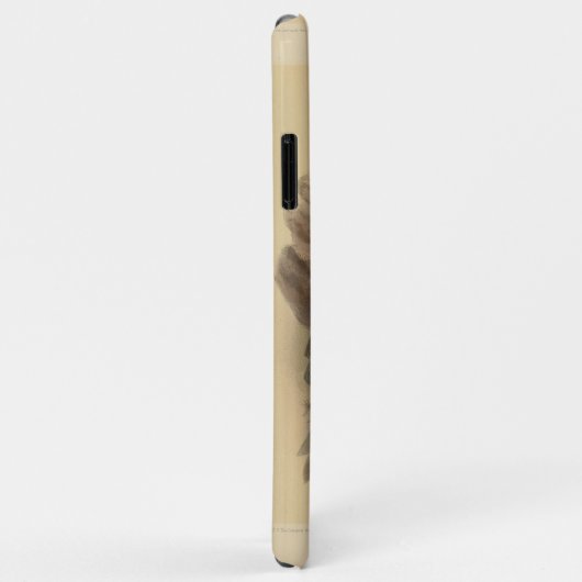illustratie van Nuthatch Case-Mate iPhone Case (Achterkant/rechts)
