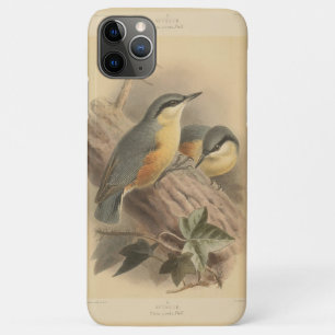  illustratie van Nuthatch Case-Mate iPhone Case