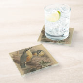  illustratie van Nuthatch Glazen Onderzetter (Schuin)