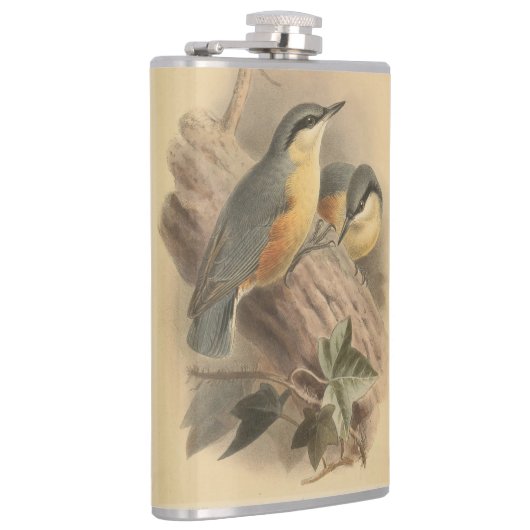  illustratie van Nuthatch Heupfles (Rechts)