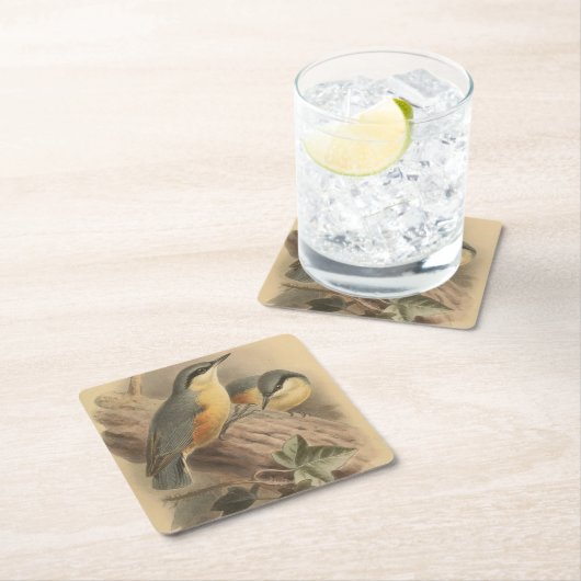  illustratie van Nuthatch Kartonnen Onderzetters (Insitu)