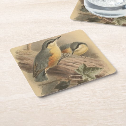  illustratie van Nuthatch Kartonnen Onderzetters (Schuin)