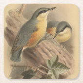  illustratie van Nuthatch Kartonnen Onderzetters (Voorkant)