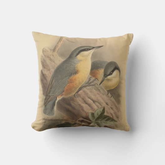 illustratie van Nuthatch Kussen (Voorkant)