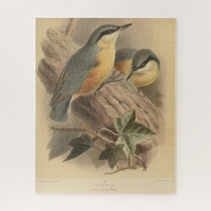  illustratie van Nuthatch Legpuzzel