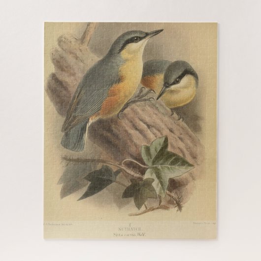  illustratie van Nuthatch Legpuzzel (Verticaal)