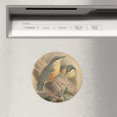 illustratie van Nuthatch Magneet (Insitu (Vaatwasser))