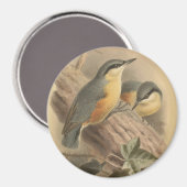 illustratie van Nuthatch Magneet (Voorkant / Achterkant)