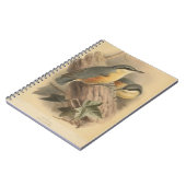  illustratie van Nuthatch Notitieboek (Linkerzijde)