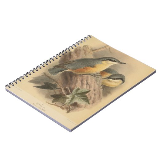  illustratie van Nuthatch Notitieboek (Linkerzijde)