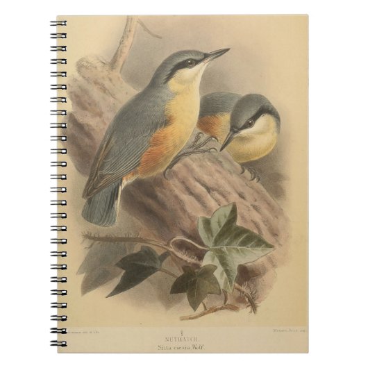  illustratie van Nuthatch Notitieboek (Voorkant)
