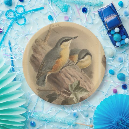  illustratie van Nuthatch Papieren Bordje (Feest)