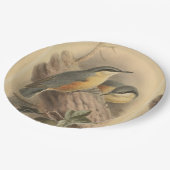  illustratie van Nuthatch Papieren Bordje (Gekanteld)