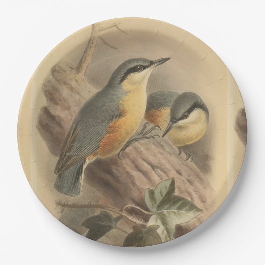  illustratie van Nuthatch Papieren Bordje (Voorkant)