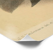  illustratie van Nuthatch Perfect Poster (Hoek)