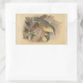  illustratie van Nuthatch Rechthoekige Sticker (Tas)