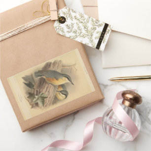 illustratie van Nuthatch Rechthoekige Sticker