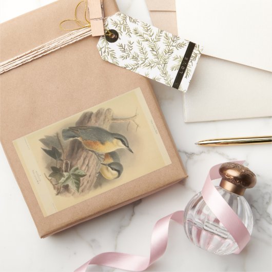  illustratie van Nuthatch Rechthoekige Sticker (Geschenken)