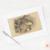  illustratie van Nuthatch Rechthoekige Sticker (Envelop)