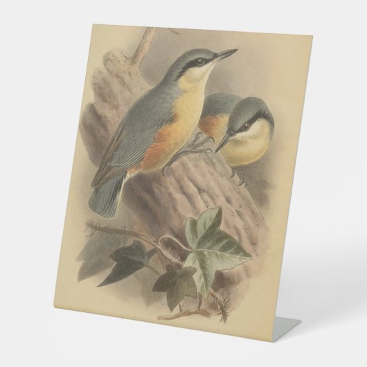  illustratie van Nuthatch Reclamebord Met Voetstuk (Voorkant)
