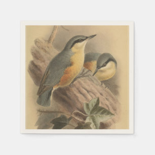 illustratie van Nuthatch Servet