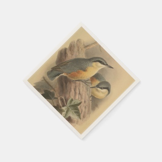  illustratie van Nuthatch Servet (Hoek)