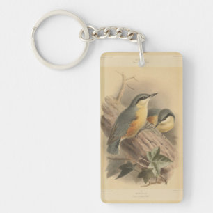  illustratie van Nuthatch Sleutelhanger