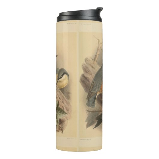  illustratie van Nuthatch Thermosbeker (Gedraaid links)