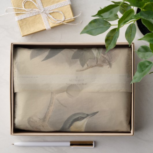 illustratie van Nuthatch Tissuepapier (Geschenk)