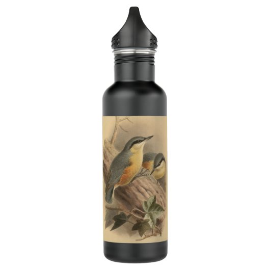  illustratie van Nuthatch Waterfles (Links)