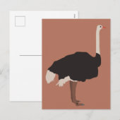 Illustratie van Ostrich Bird Feestdagenkaart (Voorkant / Achterkant)