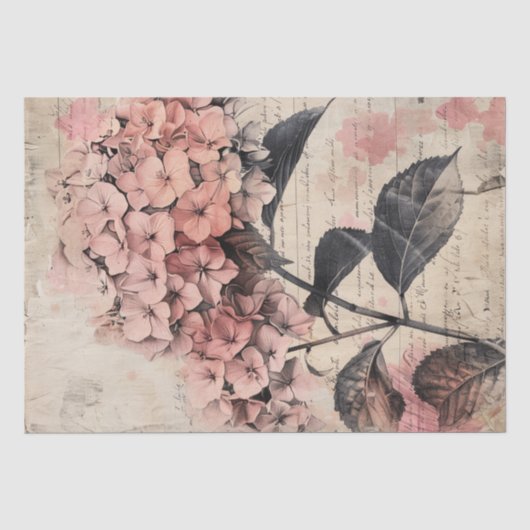 Illustratie van Oude Hortensia op Perkamentpapier Tissuepapier (Voorkant)