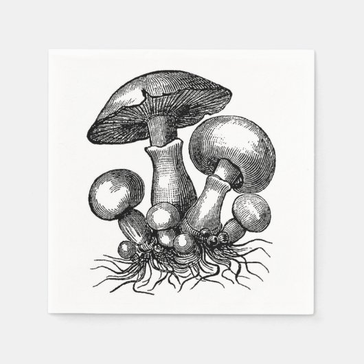 Illustratie van oude paddenstoel servet (Voorkant)